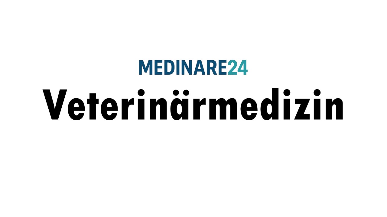 Fortbildung Veterinärmedizin
